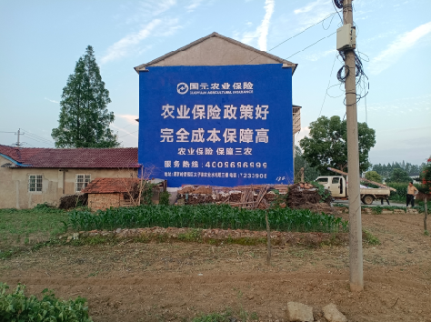 新化墙体广告为何受追捧？